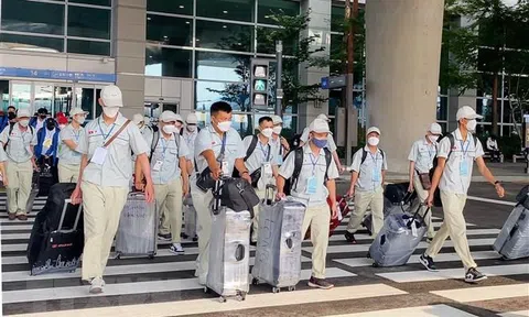 Cảnh báo lừa đảo xuất khẩu lao động qua Australia