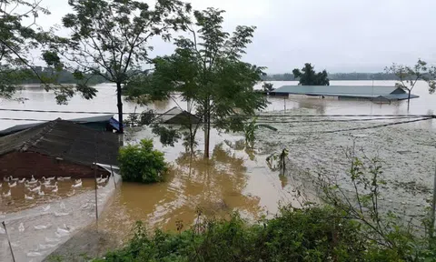 Cận cảnh cuộc sống trong nước lũ của người dân Quốc Oai