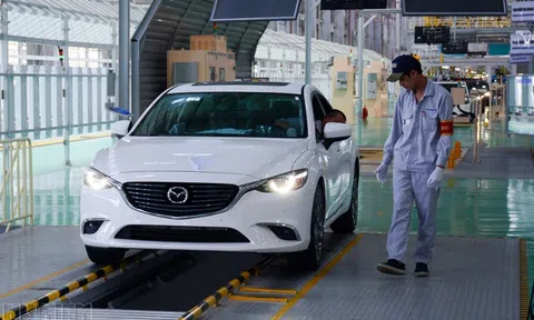 Kiến nghị không thu hồi chứng chỉ nghề với đăng kiểm viên bị án treo