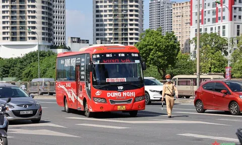 Tăng cường kiểm tra, xử lý xe dù, bến cóc, xe trá hình