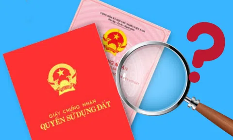 Những trường hợp phải đổi sang mẫu sổ đỏ mới từ 1/1/2025