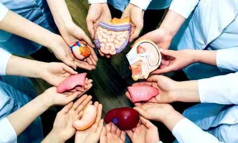 Số ca chết não hiến mô, tạng đạt mức kỷ lục