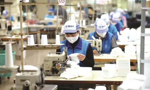 Đề xuất doanh nghiệp nhỏ và siêu nhỏ hưởng thuế thu nhập doanh nghiệp 15 – 17%