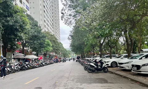 Đề xuất thu hồi giấy phép với điểm trông giữ sai phạm