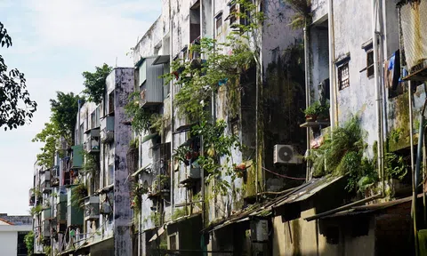 Đà Nẵng chốt phương án phá dỡ chung cư cũ thành bãi đỗ xe, công viên