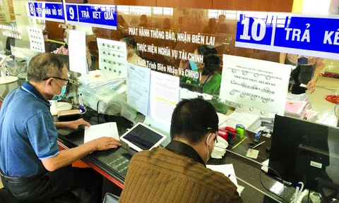 Đề xuất đánh thuế “mạnh tay” với người trúng đấu giá đất không sử dụng