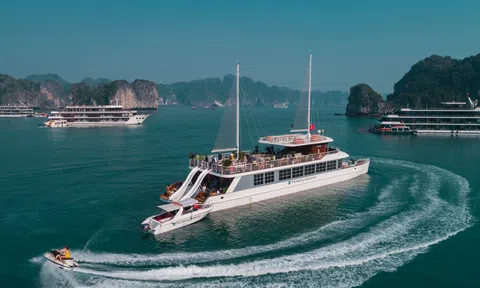 Tour du thuyền đêm trên vịnh Hạ Long và Lan Hạ huỷ vì bão