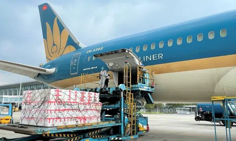 Bưu điện, đường sắt, hàng không hỗ trợ vận chuyển miễn phí hàng cứu trợ bão lũ