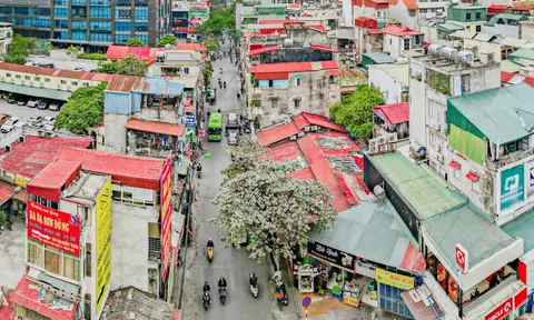 Hà Nội cưỡng chế thu hồi gần 2500m2 đất mở rộng đường Nguyễn Tuân