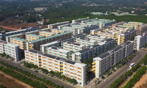 Xảy ra tình trạng người giàu “tranh” mua nhà ở xã hội