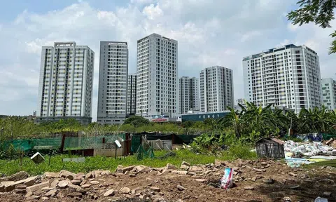 TP.HCM: Đề xuất rà soát đất bỏ hoang để xây nhà tái định cư