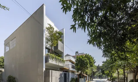 Ý tưởng nhà 3 tầng tránh nắng nhờ vườn cây xanh treo ngay mặt tiền