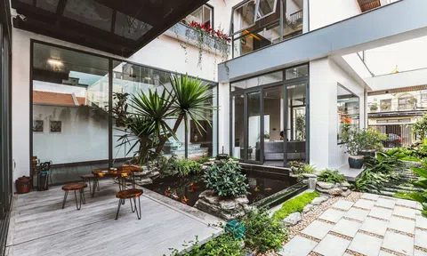 Cải tạo căn nhà sở hữu giếng cổ truyền đời ba thế hệ thành không gian xanh mát