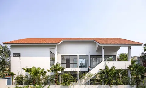 Thiết kế không gian mở, biến nhà phố sâu trong ngõ thành ốc đảo xanh