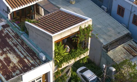 Ngôi nhà "tổ chim" lưu giữ nét kiến trúc độc đáo ở Đà Nẵng