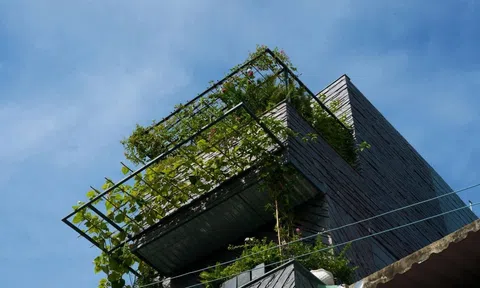 Thiết kế của ngôi nhà dành cho gia đình ba thế hệ lấy ý tưởng từ vách đá thác Pongou