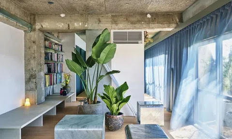 Bí quyết biến căn hộ 50 năm tuổi thành không gian mở hiện đại