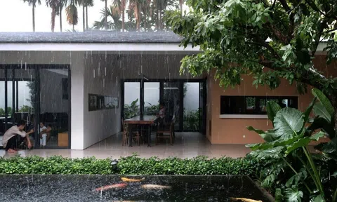 Nét đẹp bình dị của ngôi nhà 3 thế hệ: Khi thiên nhiên len lỏi vào từng không gian sống
