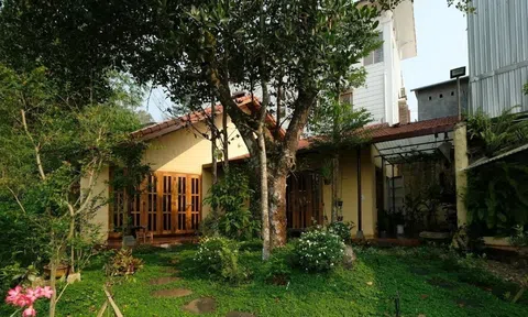 Nhà Tịnh - Nơi tận hưởng bình yên trong không gian kiến trúc tinh tế