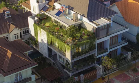 Biệt thự 400m² nổi bật với không gian cây xanh bao trùm cả căn nhà