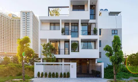 Tận hưởng bầu không khí trong lành với thiết kế mở của căn nhà phố 4 tầng ở phố biển