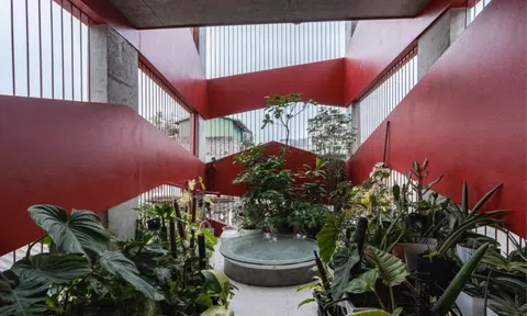 Căn nhà phố Hà Nội có thiết kế mặt tiền hình học không đồng nhất, tạo ấn tượng trong ngõ nhỏ