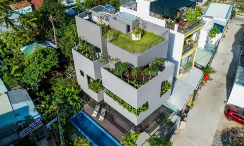 Ngôi nhà xây trên diện tích 80m2 với các góc 90 độ tràn ngập cây xanh