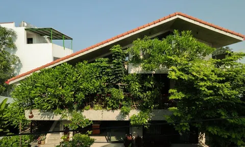 Nhà hai tầng rưỡi của chàng họa sĩ sở hữu "rèm xanh" mát mắt giữa lòng làng chài Cửa Đại