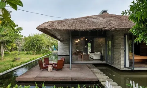 2,5 tỷ đồng cho một giấc mơ xanh: Am house - ngôi nhà mái tranh độc đáo nhất Việt Nam