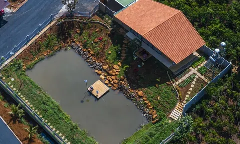 Căn nhà đẹp như mơ được bao bọc bởi không gian xanh mát