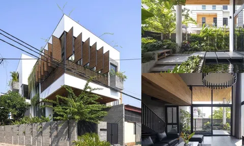 Ngôi nhà 3 tầng với không gian xanh mát kết hợp hài hòa, tràn đầy ánh sáng