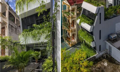 Khám phá ngôi nhà nằm trên lô đất có kích thước chiều dài gấp 7 lần chiều rộng