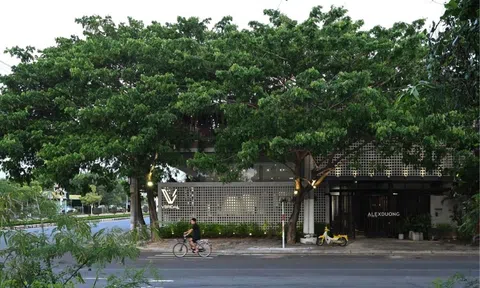 Căn nhà phố 200m2 xanh mát với thiết kế ruộng bậc thang độc đáo