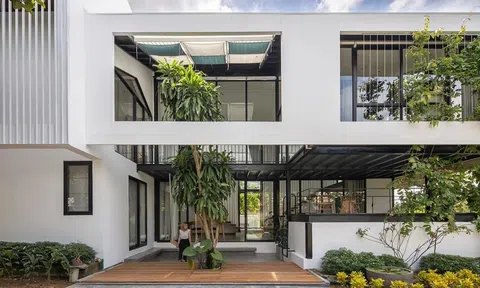 Toàn cảnh ngôi nhà kính "bọc lá" nằm gọn bên sườn đồi ở Huế