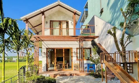 Nhà phố 250m2 sử dụng vật liệu thông minh để tạo không gian sống mở cạnh đồng lúa, hàng sưa