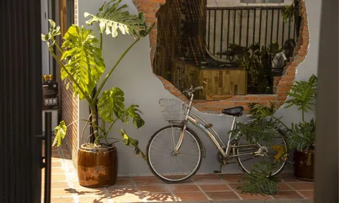 Khám phá căn nhà ấm áp 112m2 ở Tiền Giang của nam diễn viên Lâm Thanh Nhã