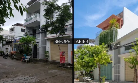 Cải tạo căn nhà ống cũ kỹ thành "homestay thu nhỏ" tràn ngập không gian xanh