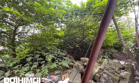 Hình ảnh bất ngờ bên trong dự án Constrexim Complex bị bỏ hoang trên “đất kim cương”