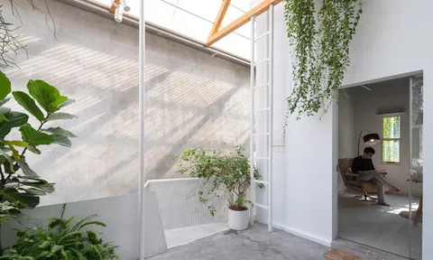 Nhà bỏ hoang lâu năm "biến hình" thành không gian sống xanh