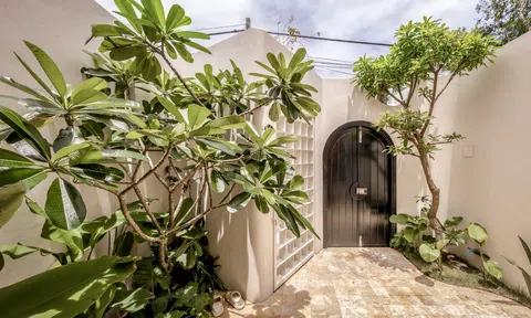 Độc đáo căn nhà ống ở Cần Thơ sở hữu 7 khu vườn xanh mát