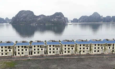 Quảng Ninh: Vắng bóng người, hàng loạt biệt thự, liền kề "view triệu đô" nằm phơi sương