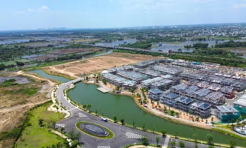 Dự án ID Junction tại Đồng Nai bị kết luận giao đất không qua đấu giá