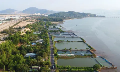 Dự án khu vui chơi gần 800 tỷ đồng đang bị Bình Định xem xét thu hồi