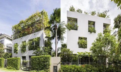 Hòa mình vào thiên nhiên với căn nhà được thiết kế như công viên thu nhỏ ở TP. HCM