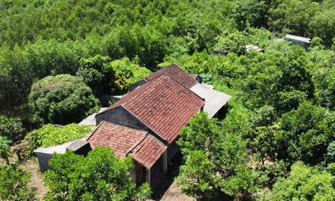 Thanh Hóa: Làng Thanh niên lập nghiệp hoang tàn sau 16 năm, người dân vẫn chưa được cấp sổ đỏ