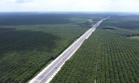 Toàn cảnh tuyến đường 50km băng qua cánh đồng cao su bạt ngàn ở Bình Dương