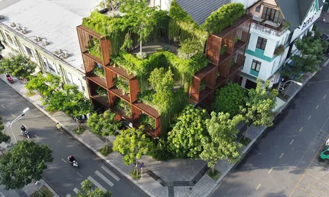 Tony fruit office: “Khối xanh khuyết” trong lòng đô thị đạt Giải thưởng kiến trúc quốc tế 2021