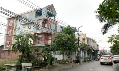 Ngôi làng ở Bắc Ninh giàu lên nhờ xuất khẩu một mặt hàng mà người khác bỏ đi