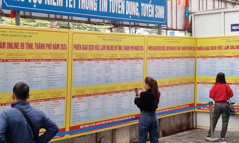 1,4 triệu thanh niên Việt Nam đang thất nghiệp