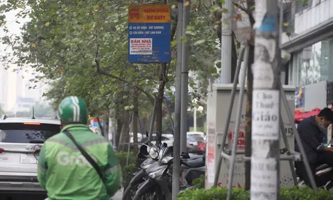 Cột điện Hà Nội lại tái diễn tình trạng bị dán chi chít quảng cáo